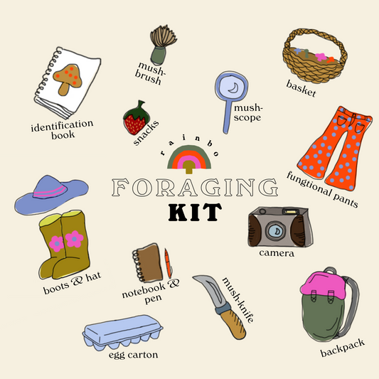 Mushroom Foraging Guide
