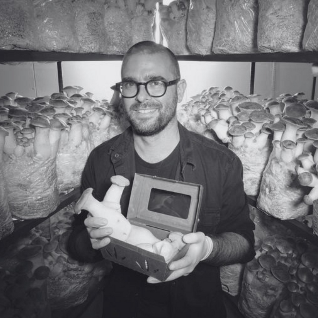 Why you should eat more mushrooms with Andrew Carter of Smallhold Mushroom Farm