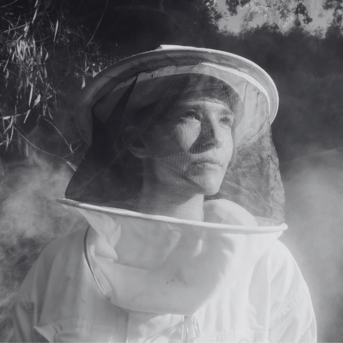 The Sting of Healing: The Science and Secrets of Bee Venom Therapy with Kate Hinkens