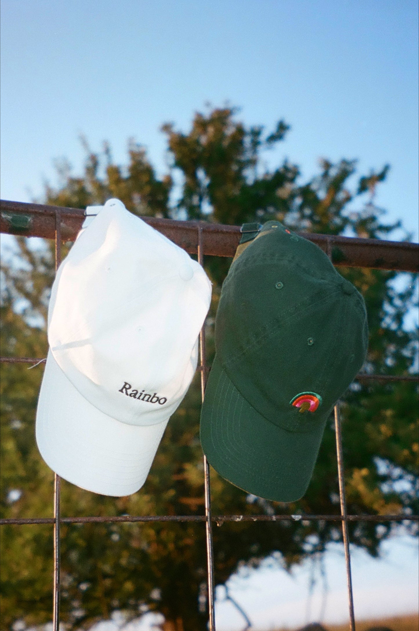 The Mushroom Cap
