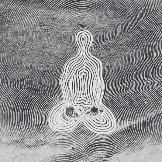 The Mystical Anatomy of Your Nervous System: Spirit, Breath and Biology with Tonya Papanikolov